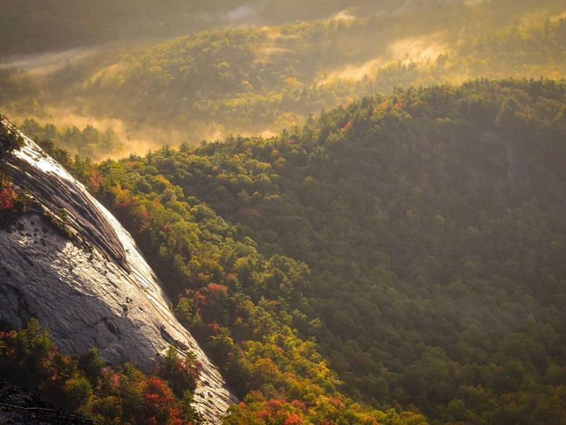 KalverEntriMyx La Plata